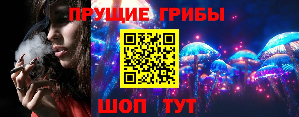 Псилоцибиновые грибы прущие грибы Краснодар