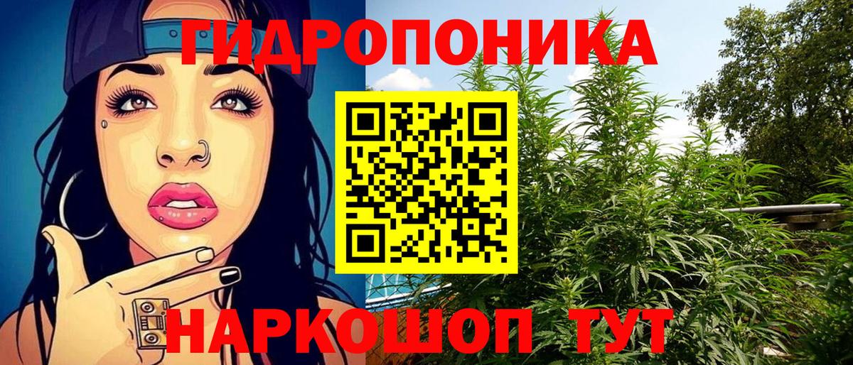 Бошки Шишки тримм  Вход с VPN  Марихуана семена  Краснодар  Бошки Шишки OG Kush 